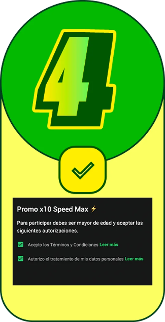 Paso 4: aceptar términos y condiciones
